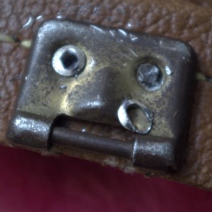 IMGP9550