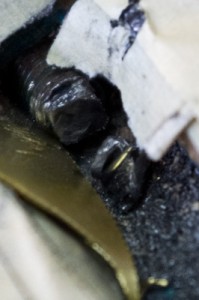 A levágott csonk - jól látszik, bizony kellett a rézpáncél, hogy védjem a fát