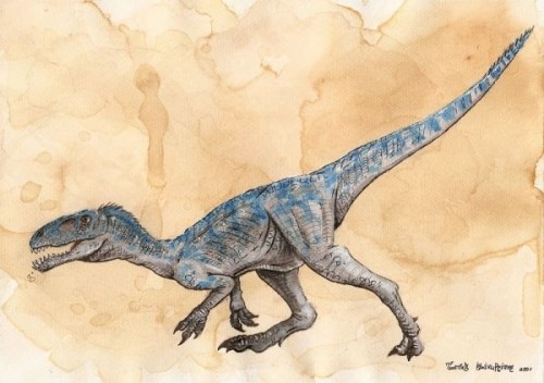 Knopflerszaurusz, azaz Masiakasaurus Knopfleri Knopflerszaurusz, azaz Masiakasaurus Knopfleri